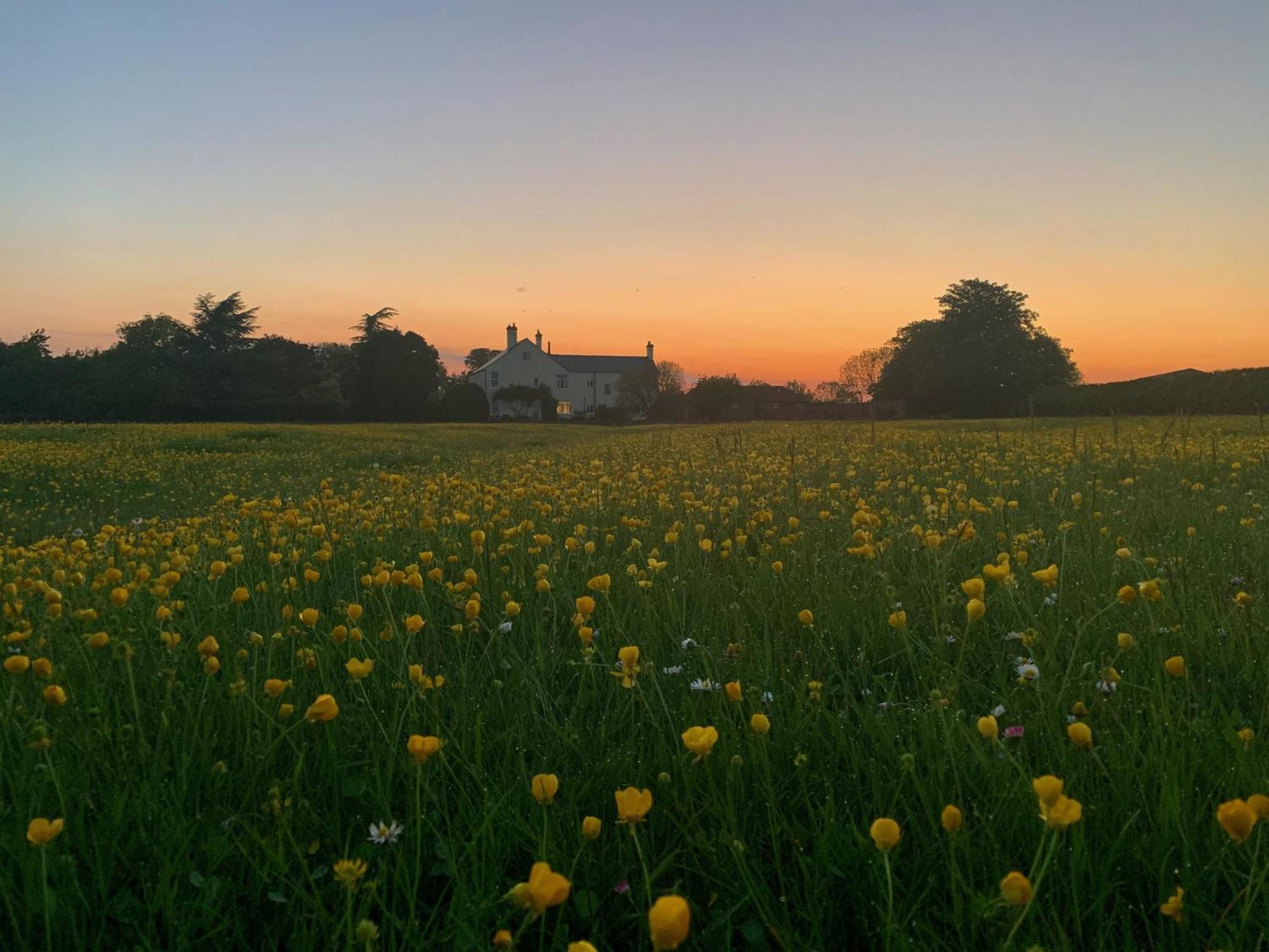 The Chestnuts Country House Boutique B&B Kilvington Eksteriør bilde
